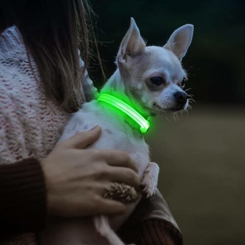 light up dog collars