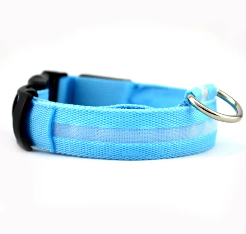 blue led dog collar