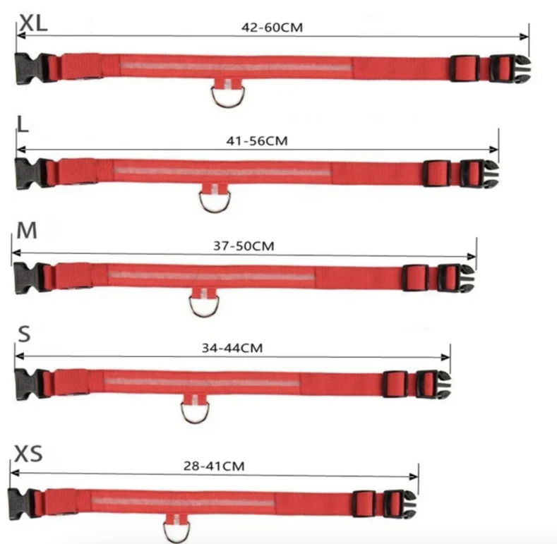 dog collars LED